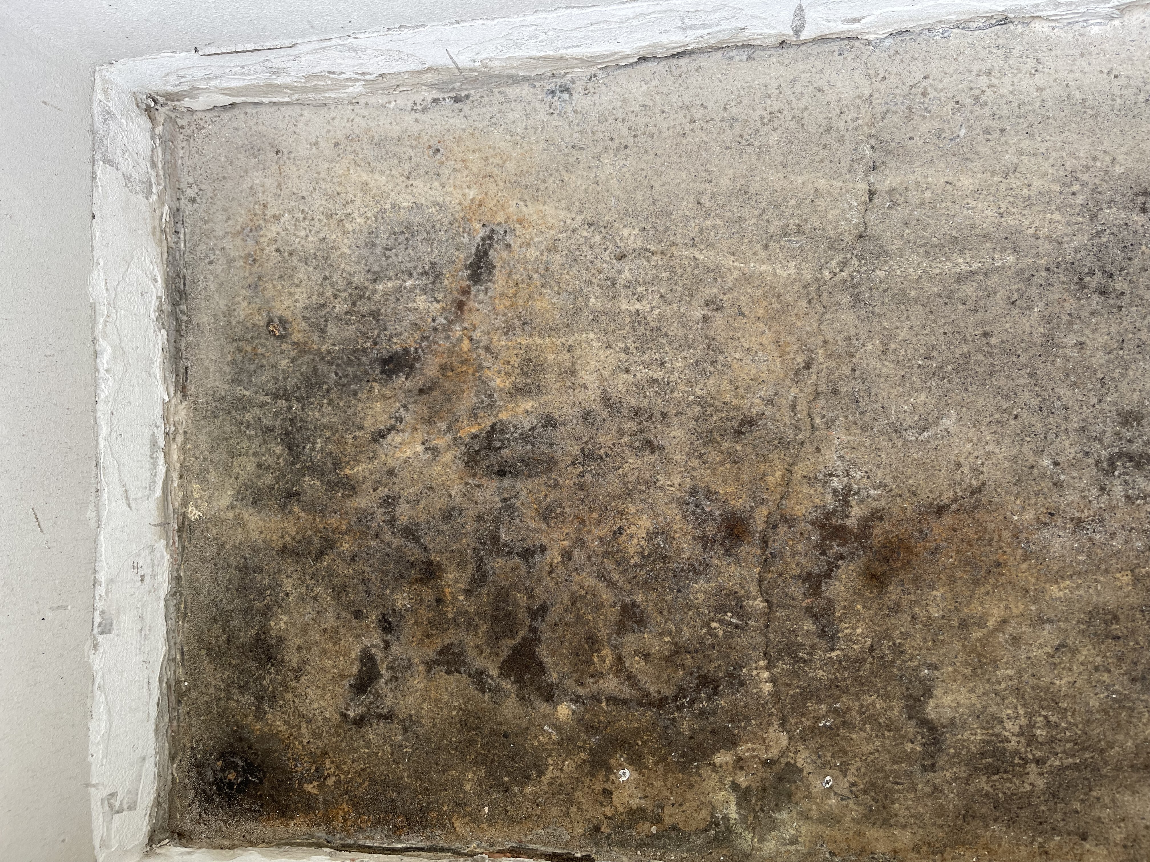 Rekonstrukce bytu - IMG_3904